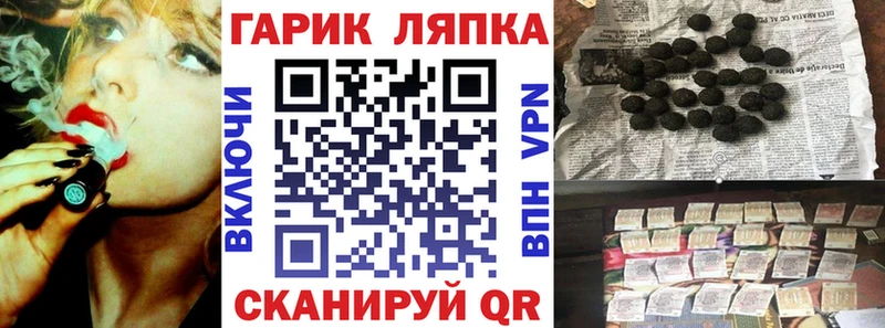 купить наркотики сайты  Новозыбков  ГАШ Изолятор 