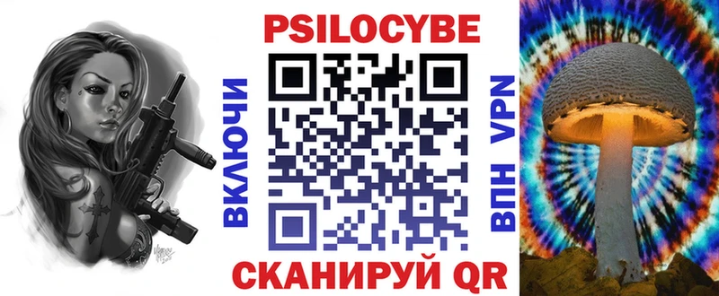 Галлюциногенные грибы Psilocybe  даркнет сайт  Новозыбков 